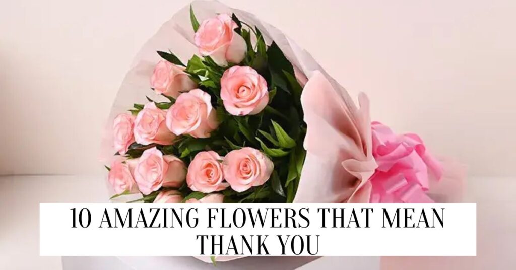 Flowers That Mean Thank You