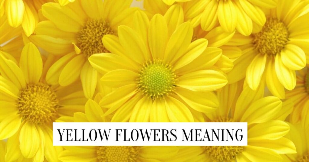 Yellow Flowers Meaning