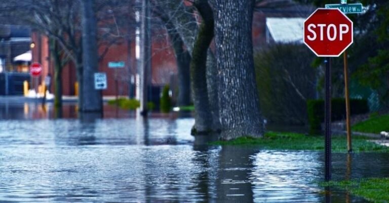 Safeguard Your Home from Flooding