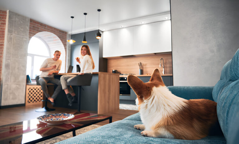 Pet-Friendly Apartment Living