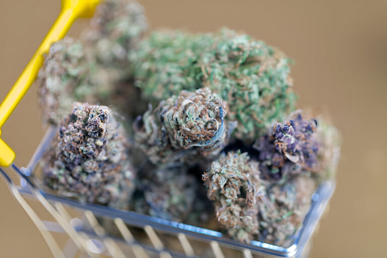 CBD Flower with High THCA